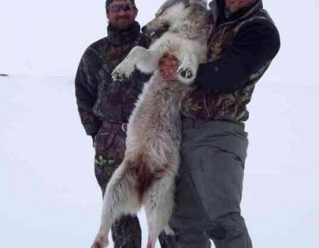 wta_Jason_Campbell_634TM0_Jason_TrophyPics(5)