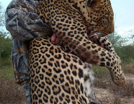 wta_Jason_Campbell_Z2PKSG_Jason_TrophyPics(13)