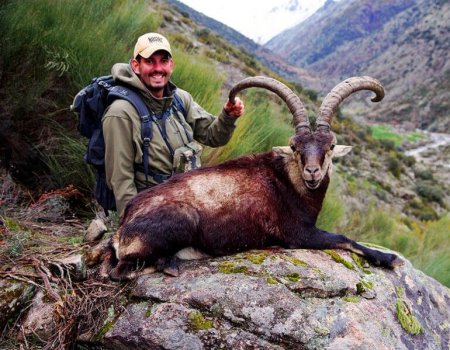 wta_Mark_Peterson_0M4MBJ_MP_Tpics_website(40)