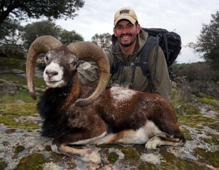 wta_Mark_Peterson_0QTER2_MP_Tpics_website(39)