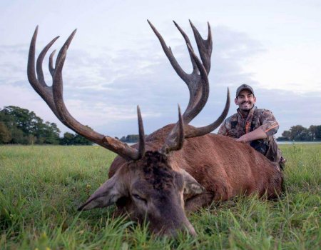 wta_Mark_Peterson_3BY4JO_MP_Tpics_website(81)