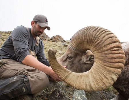 wta_Mark_Peterson_4MO7QM_MP_Tpics_website(75)