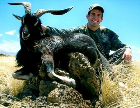 wta_Mark_Peterson_5OFSCO_MP_Tpics_website(46)