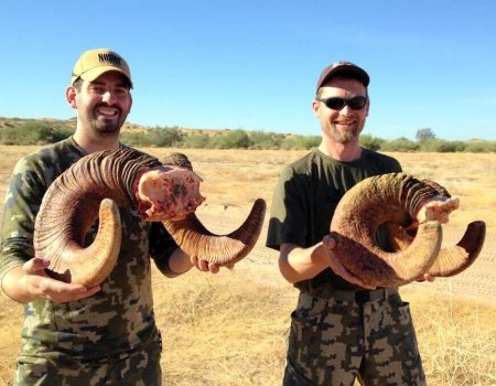 wta_Mark_Peterson_73T233_MP_Tpics_website(5)