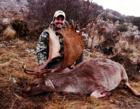 wta_Mark_Peterson_D7F31S_MP_Tpics_website(37)