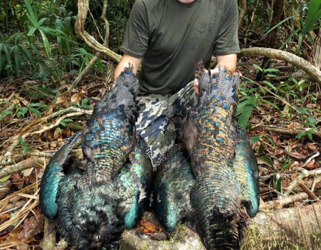 wta_Mark_Peterson_H3VKX6_MP_Tpics_website(91)