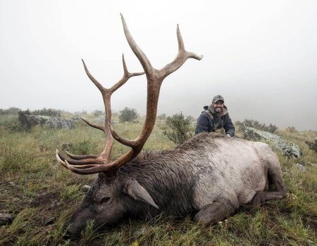 wta_Mark_Peterson_I0QB8H_MP_Tpics_website(82)