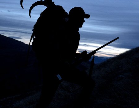 wta_Mark_Peterson_KWZTCF_MP_Tpics_website(95)