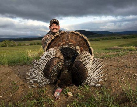 wta_Mark_Peterson_LATNUM_MP_Tpics_website(2)