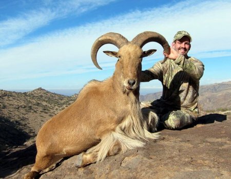 wta_Mark_Peterson_RLQ36E_MP_Tpics_website(13)