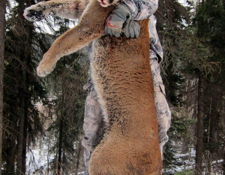 wta_Mark_Peterson_SNM1W6_MP_Tpics_website(94)