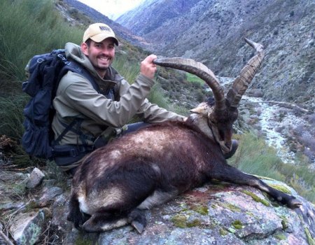 wta_Mark_Peterson_SSKMMX_MP_Tpics_website(8)