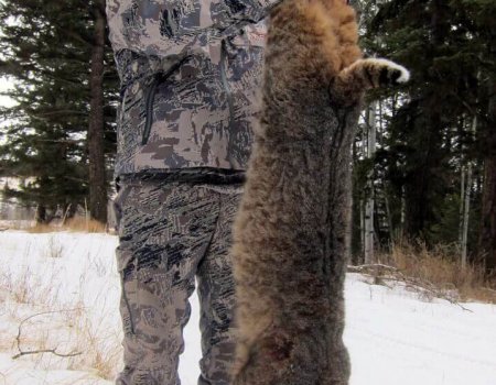 wta_Mark_Peterson_UEF14A_MP_Tpics_website(56)