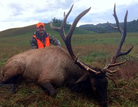 wta_Mark_Peterson_WMGBO7_MP_Tpics_website(89)