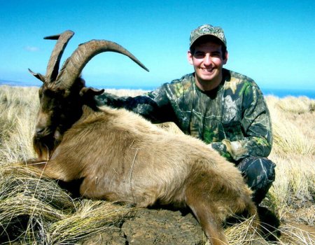 wta_Mark_Peterson_YZF3EK_MP_Tpics_website(47)