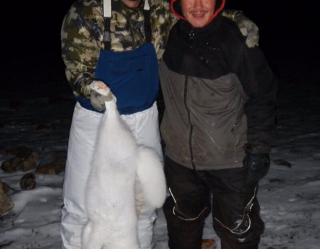 wta_Mark_Peterson_Z9H8Z2_MP_Tpics_website(4)