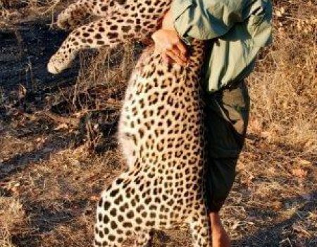 wta_Tim_Herald_TLSWV0_TimHerald(15)