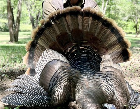 wta_nick_filler_IMG_3134