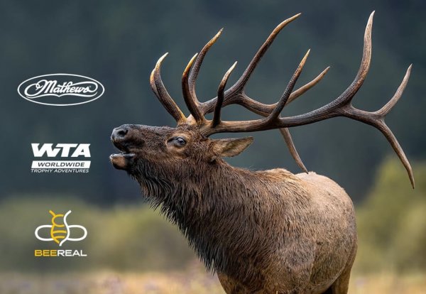 wtar-0006-featured-ap