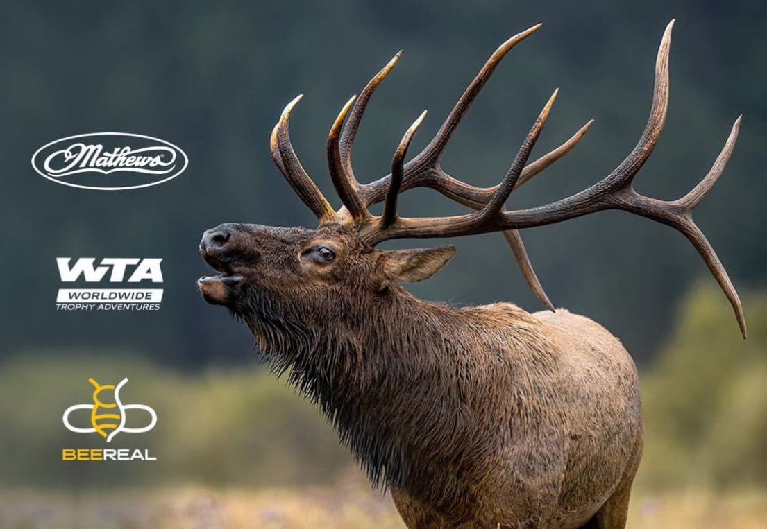 wtar-0006-featured-ap