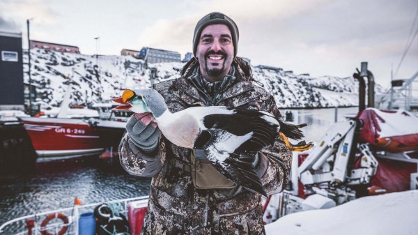 wtar-0008-mvp-feature