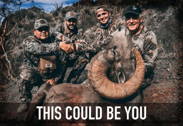 wtar-0028-featured-v1_TCBY