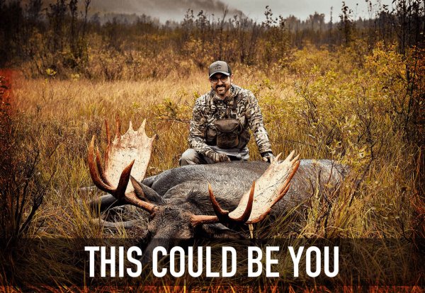 wtar-0028-featured-v2_TCBY