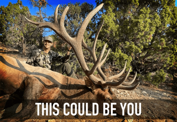 wtar-0028-featured_TCBY