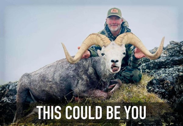 wtar-0028-featured_TCBY-ss