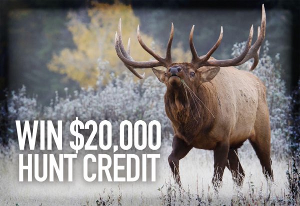 wtar-0070-featured-v2