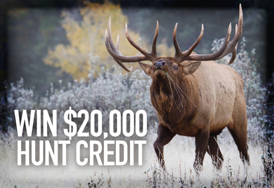 wtar-0070-featured-v2