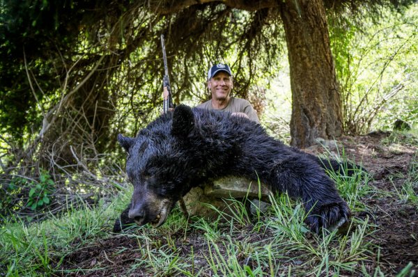 wtar-0078_IDBlackBear_0656