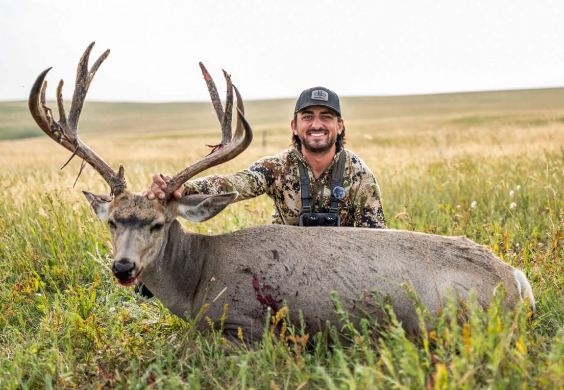 wtar-036-alberta-mule-deer-featured