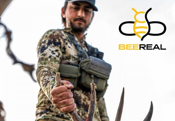 wtar-036-chris-bee-v2