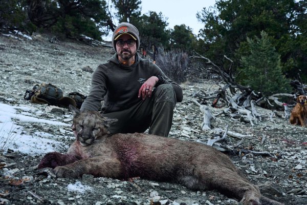 wtar-038-TFC_MountainLion_UT_123