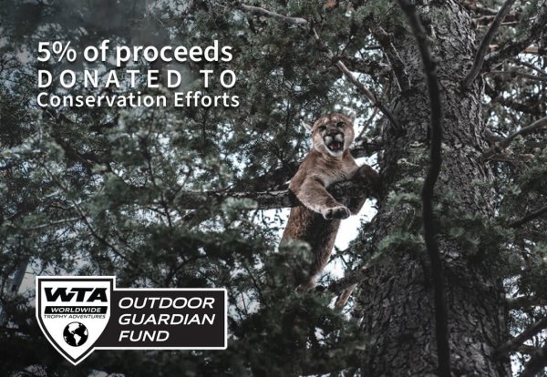 wtar-075-wta-guardian-fund-mtn-lion-in-tree